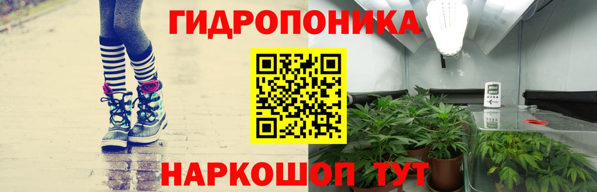 Каннабис гибрид  Марихуана семена  Вход с VPN  Каннабис Bruce Banner  Конопля конопля  Еманжелинск 